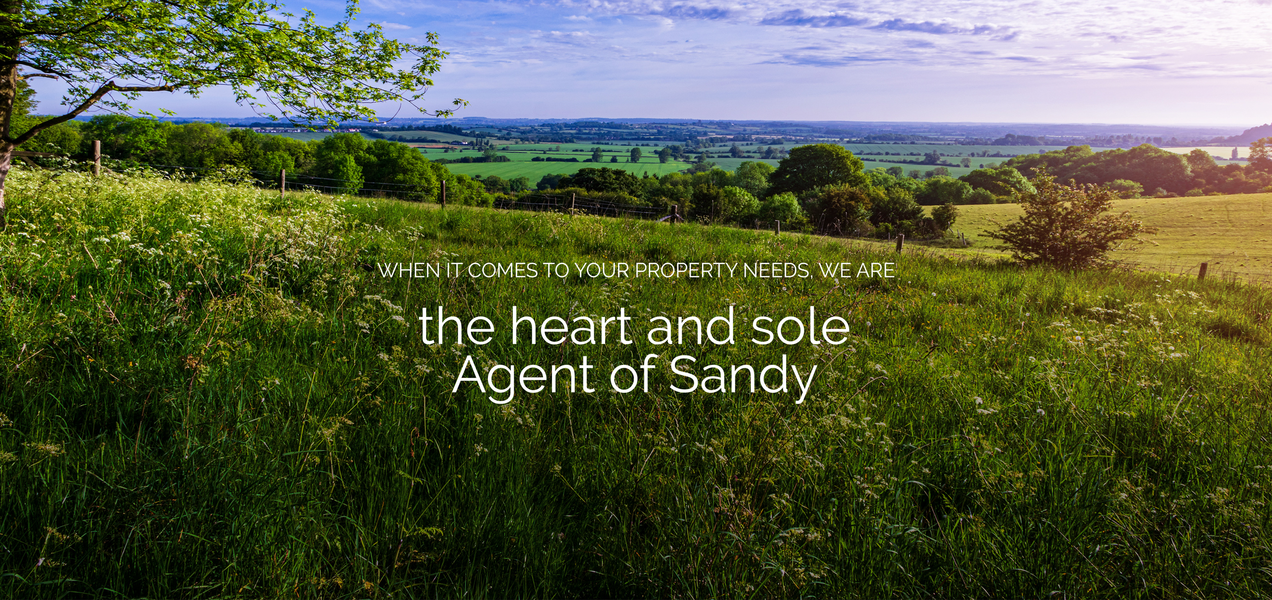 Our Story Banner Image.